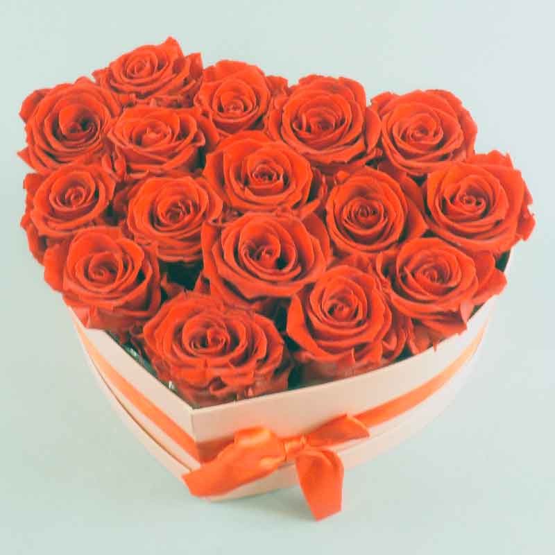 Rose stabilisé  spécial saint-valentin