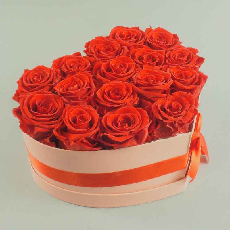 Rose stabilisé  spécial saint-valentin