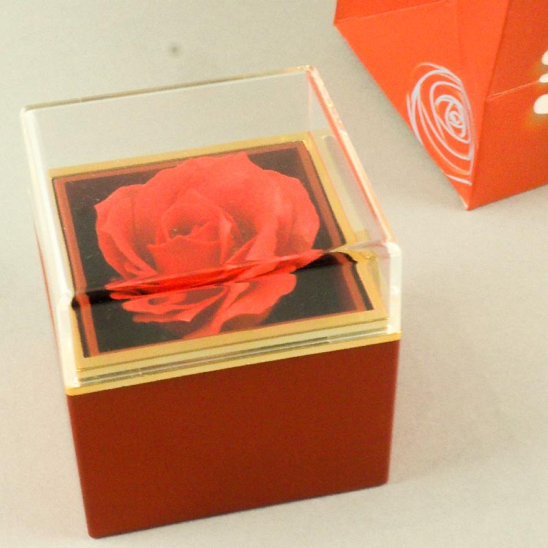 Le Bracelet Rose Stabilisée Assorti