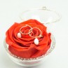 Rose stabilisé et boucle d'oreille dans un écrin de verre