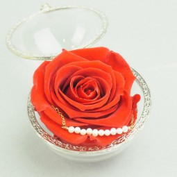 Offrez une Rose Stabilisée et un Bracelet pour la Saint-Valentin