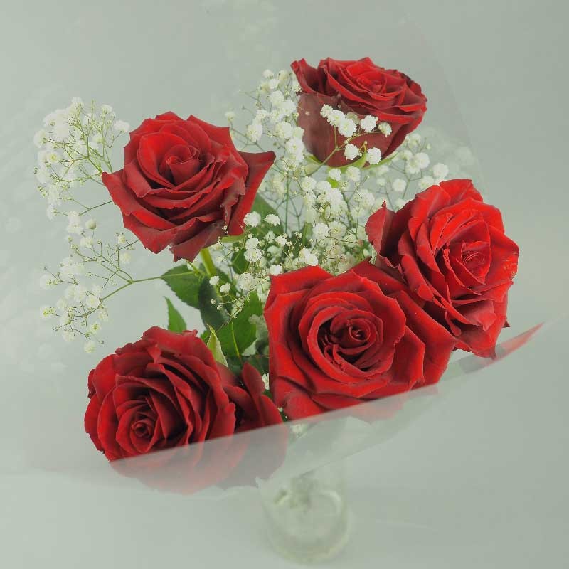 5 ROSES ROUGES ET GYPSO