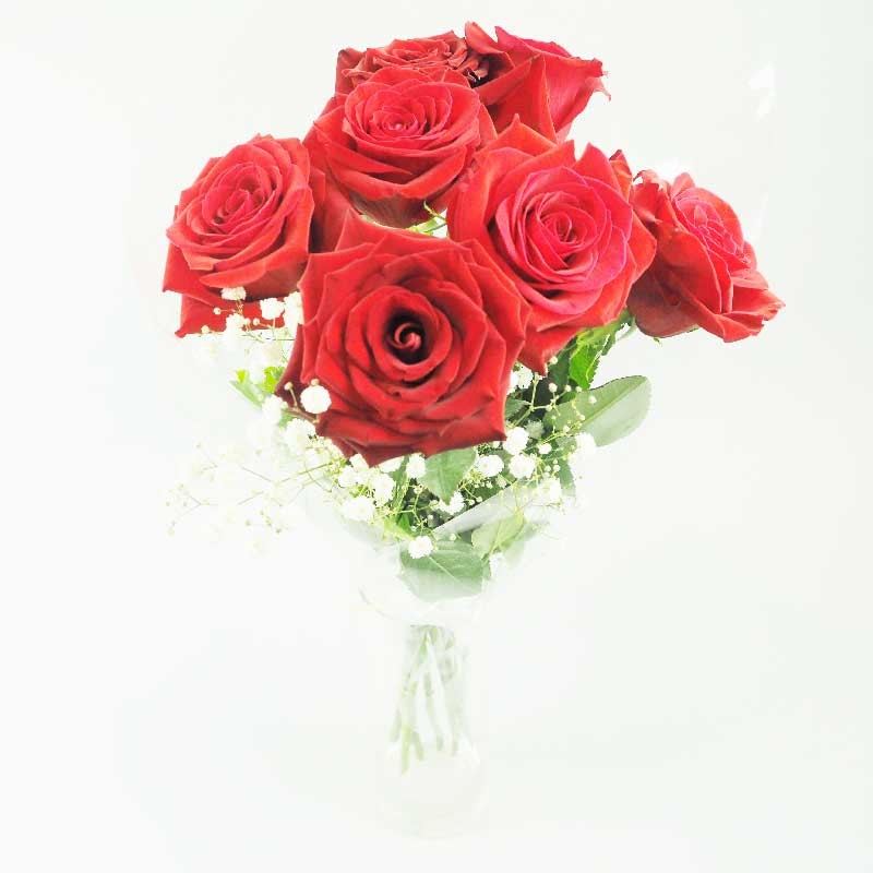 Rose Rouge De La Saint Valentin