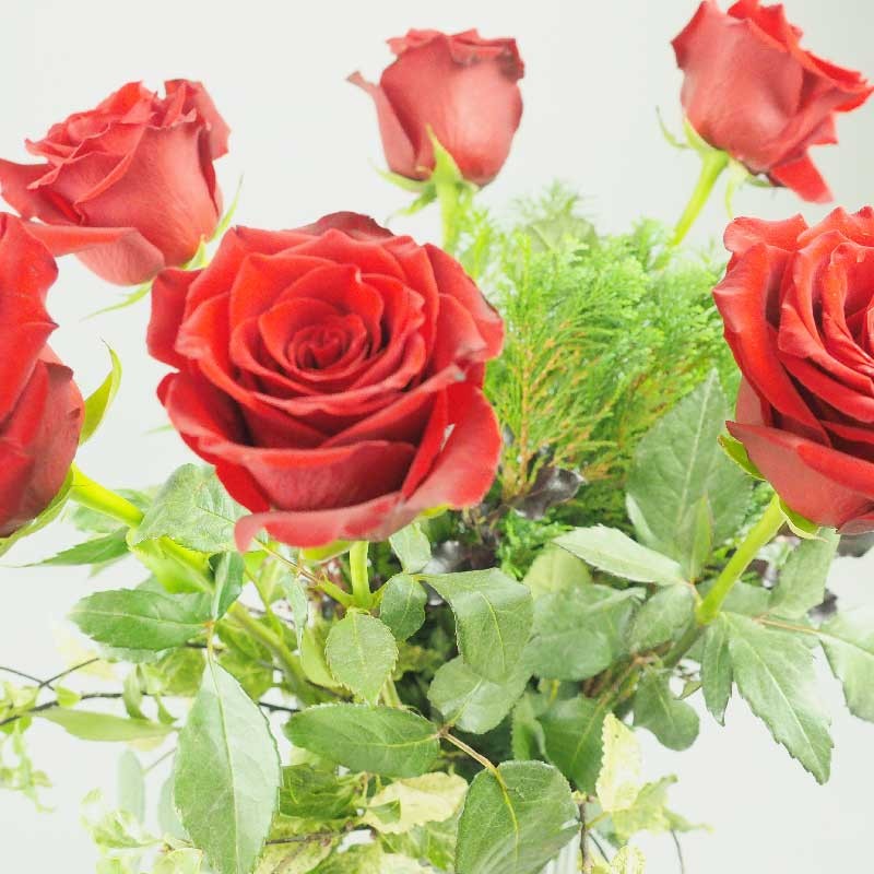 Rose Rouge De La Saint Valentin