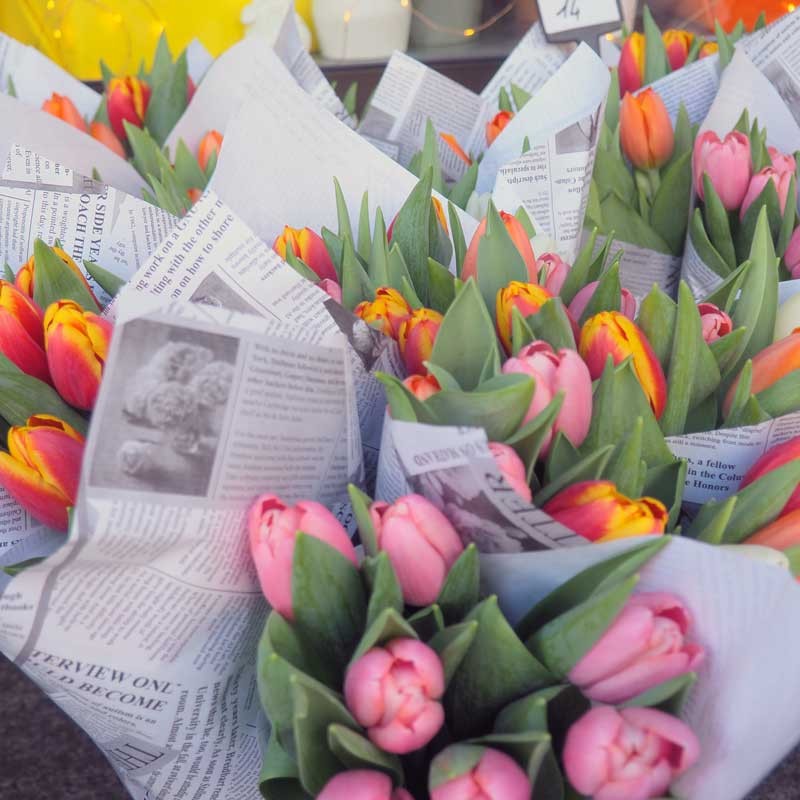 Tulipes de Pâques : 2ème à -50%! format prodigieux