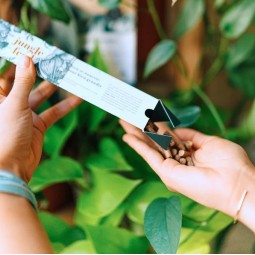 Engrais pour toutes les plantes jungle stick