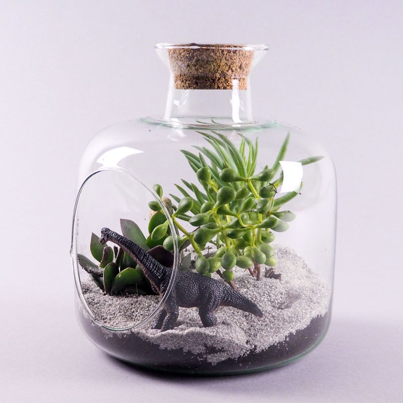 Terrarium Ouvert de Plantes Grasses, un jardin méditerranéen à la maison