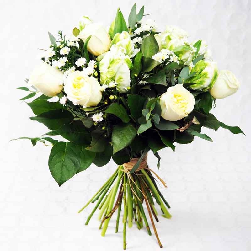 bouquet de rose et tulipes sur fond blanc