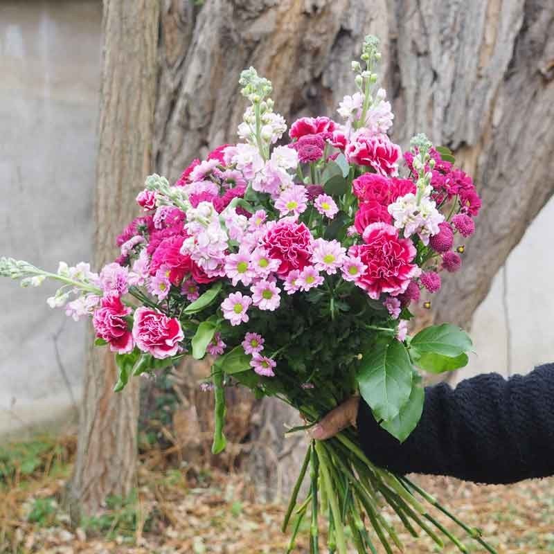 Giroflées, œillets, roses ramifiées. un bouquet candi paré de rose.
