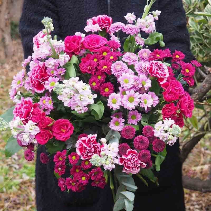 Giroflées, œillets, roses ramifiées. un bouquet candi paré de rose.