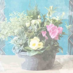 coupe de plante cimetière