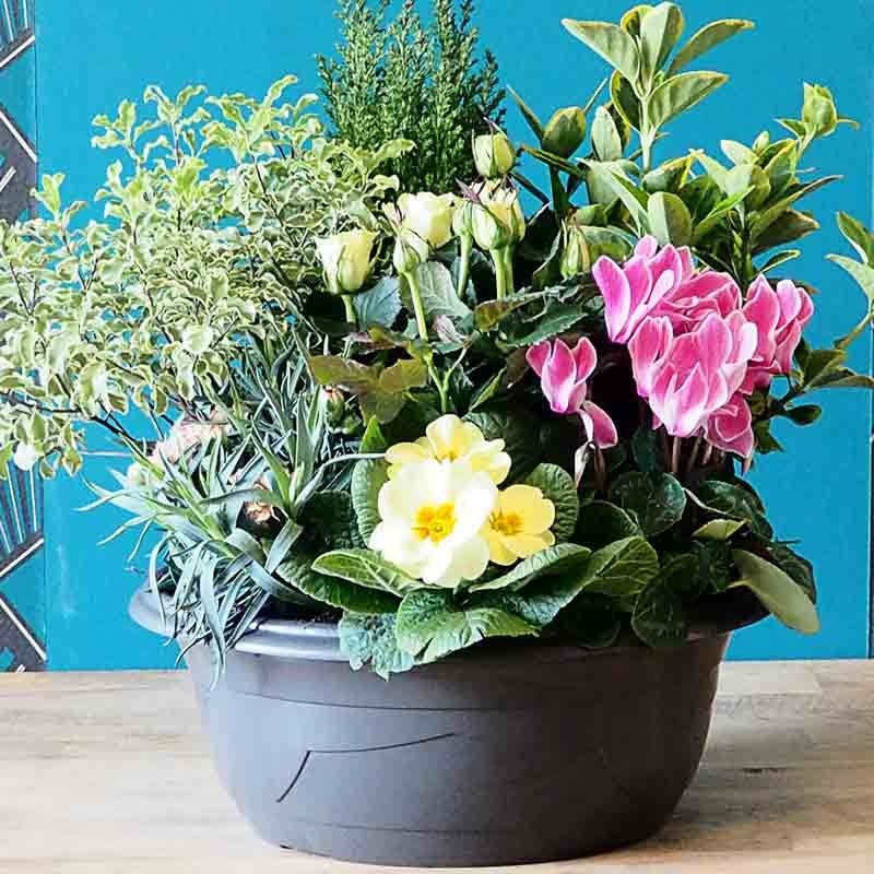 Coupe Deuil Cimetière