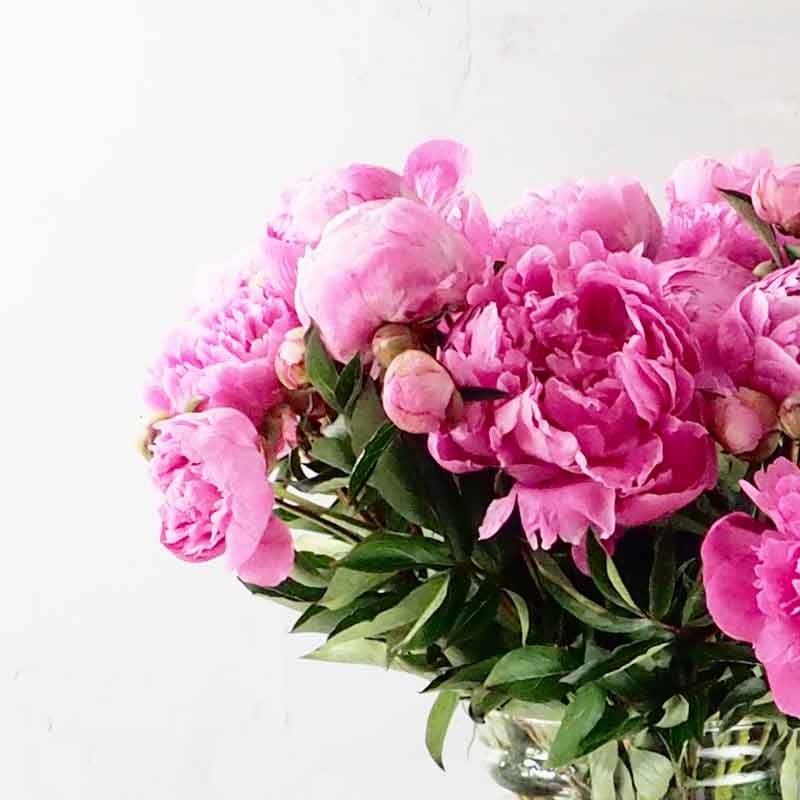 bouquet de pivoine
