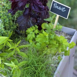 Jardinière de plantes aromatiques