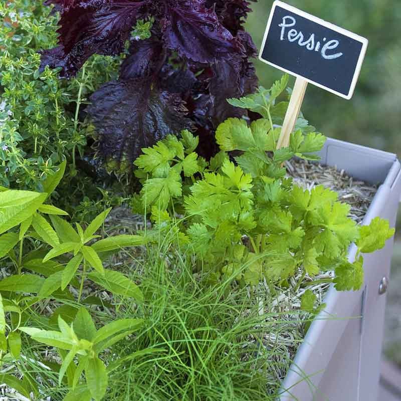 Jardinière de plantes aromatiques
