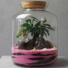Terrarium bonbonne