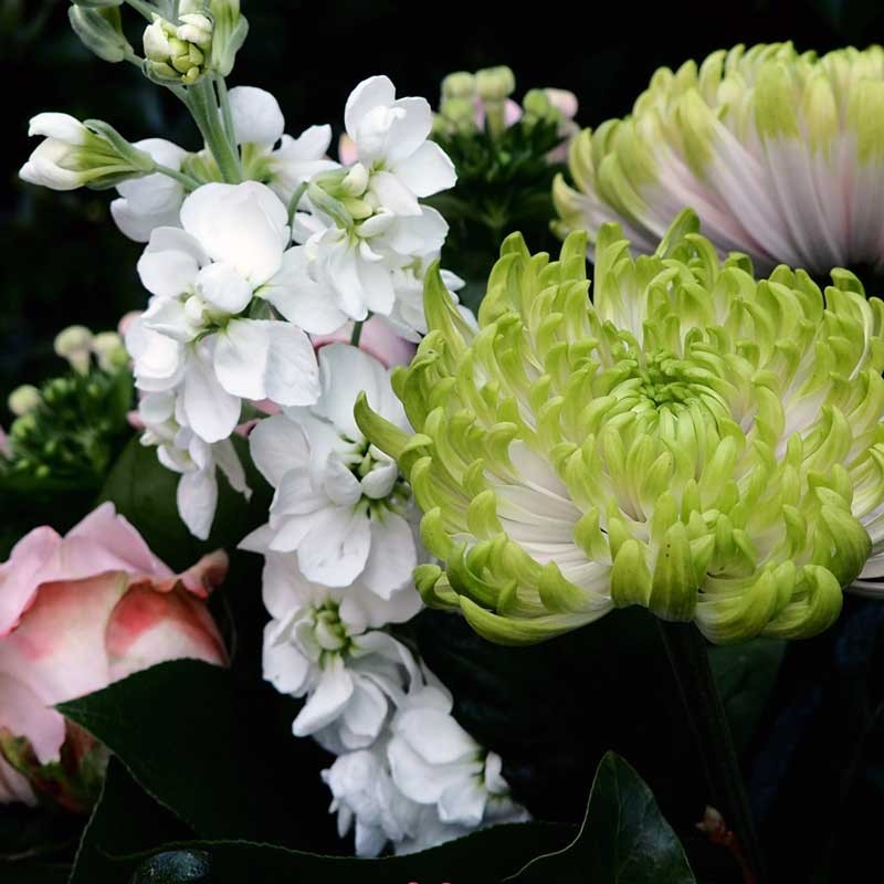 gros plan bouquet du fleuriste