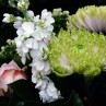 gros plan bouquet du fleuriste