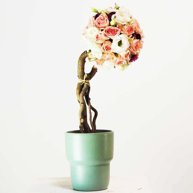 Un Arbre à fleurs pour la maison