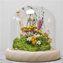 campagne sous cloche