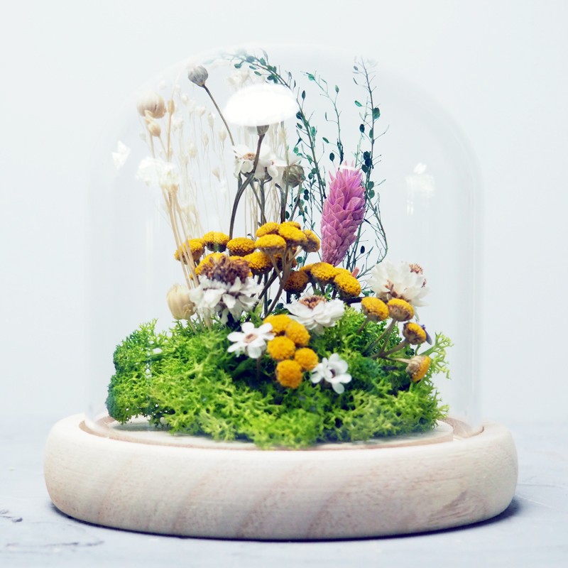 petit jardin sous cloche