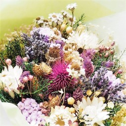 Bouquet de fleurs séchées composés de sept variétés  pas chères.