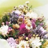 Bouquet de fleurs séchées composés de sept variétés  pas chères.