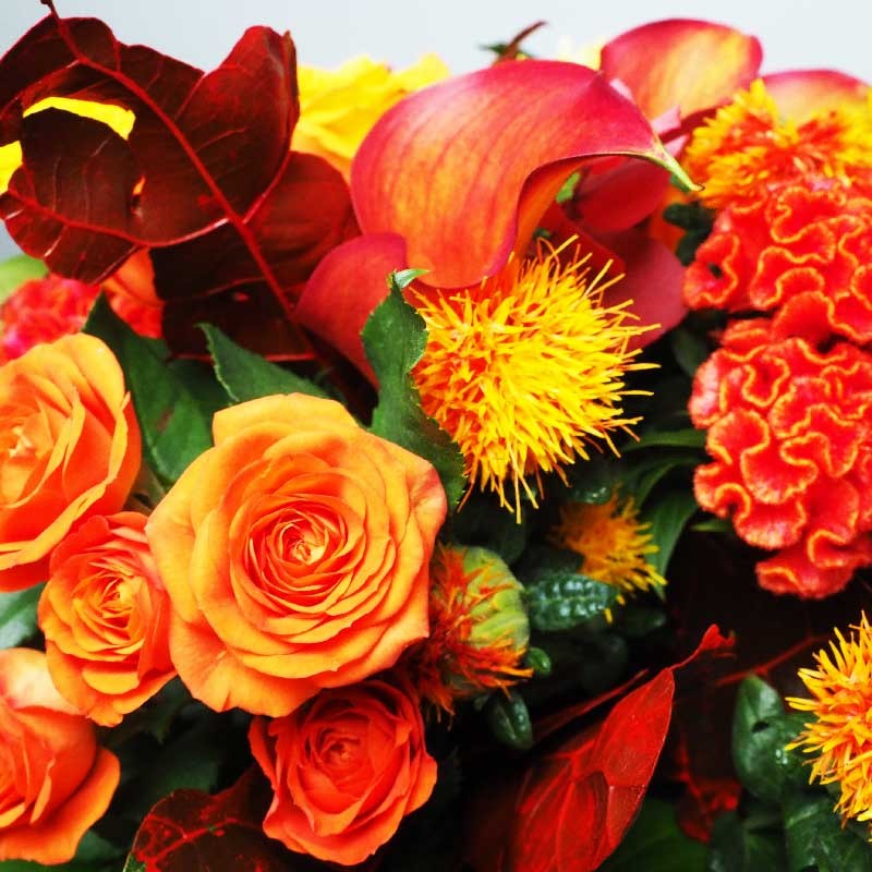 gros plan sur le bouquet d'automne