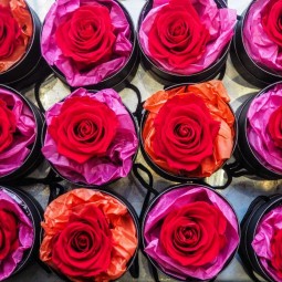 12 ROSES ETERNELLE DANS LEURS BOITE A CHAPEAU