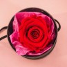 ROSE STABILISEE DANS UNE BOITE A CHAPEAU