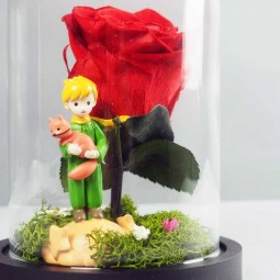 PETIT PRINCE SOUS CLOCHE