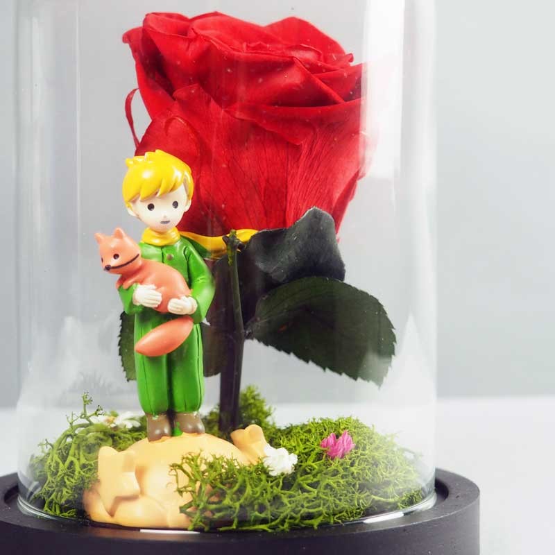 PETIT PRINCE SOUS CLOCHE