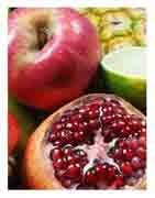 Fruits et légumes bios