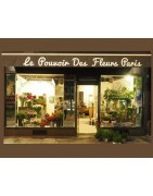 Retrouvez  Le Pouvoir Des Fleurs Boulevard Brune