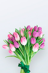 Tulipes